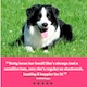 image 5 of Harringtons Superfoods Adult Dog Food - Salmon 1.7kg