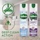 image 3 of Zoflora Carpet Foam Midnight Blooms 600ml