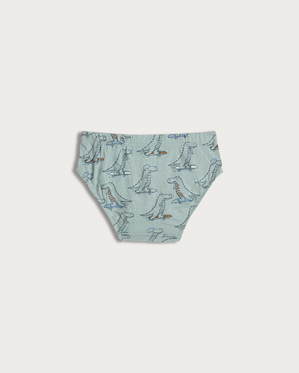 image 1 of F&F Boys 10-Pack Pure Cotton Dinosaur Print Briefs in Multi
