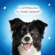 image 6 of DENTALIFE Large Dental Chicken Dog Chews 18 Sticks