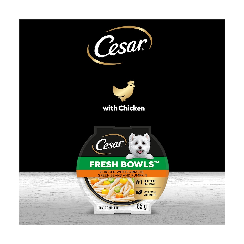 image 1 of CESAR Wet Dog Food Fresh bowls with Chicken Carrots Green Beans and Pumpkin in Gravy 85g