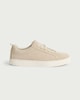 image 1 of F&F Leather Lace Up Trainers in Neutral