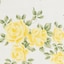 Multi Yellow