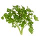 image 2 of Tesco Fresh Cut Flat Leaf Parsley 30G