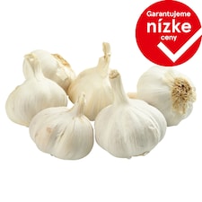Cesnak voľný