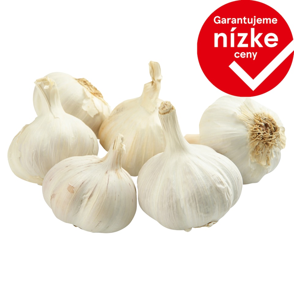 Cesnak voľný