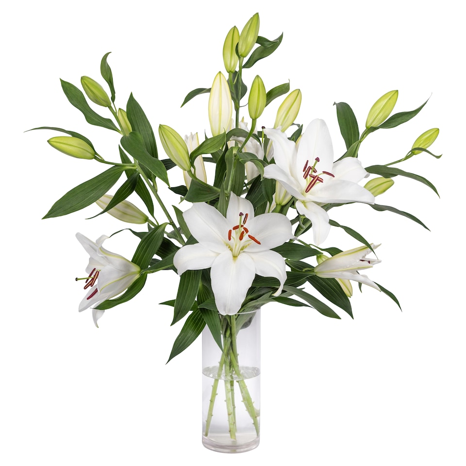 Tesco Luxury Lily