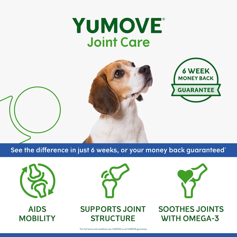 image 1 of YuMove Joint Care Senior Dog 80 Tablets 76g