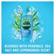 image 3 of Radox Feel Active Shower Gel 250Ml