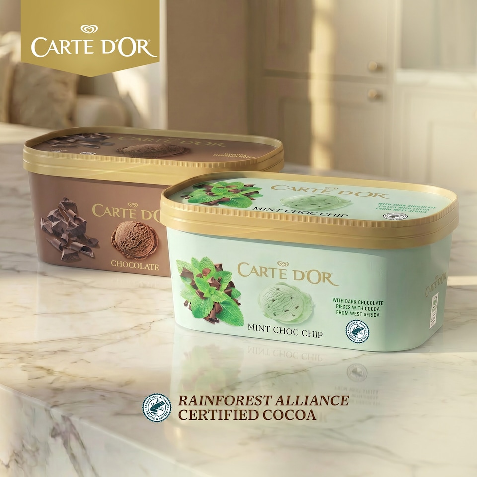 image 1 of Carte D'or Mint Chocolate Chip Ice Cream Tub 900ml