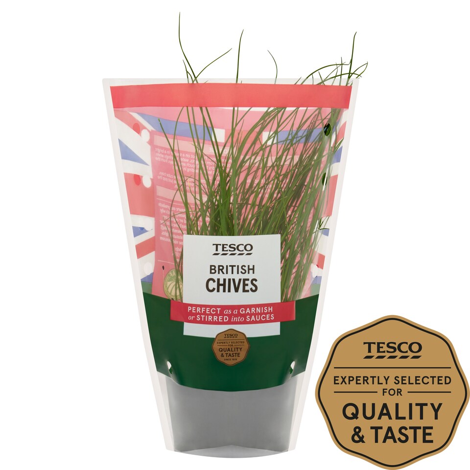 Tesco Bulb Chives Medium Pot