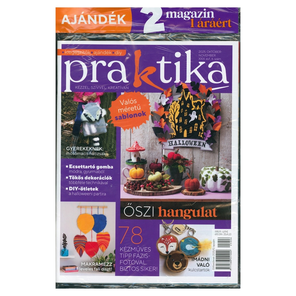 Praktika