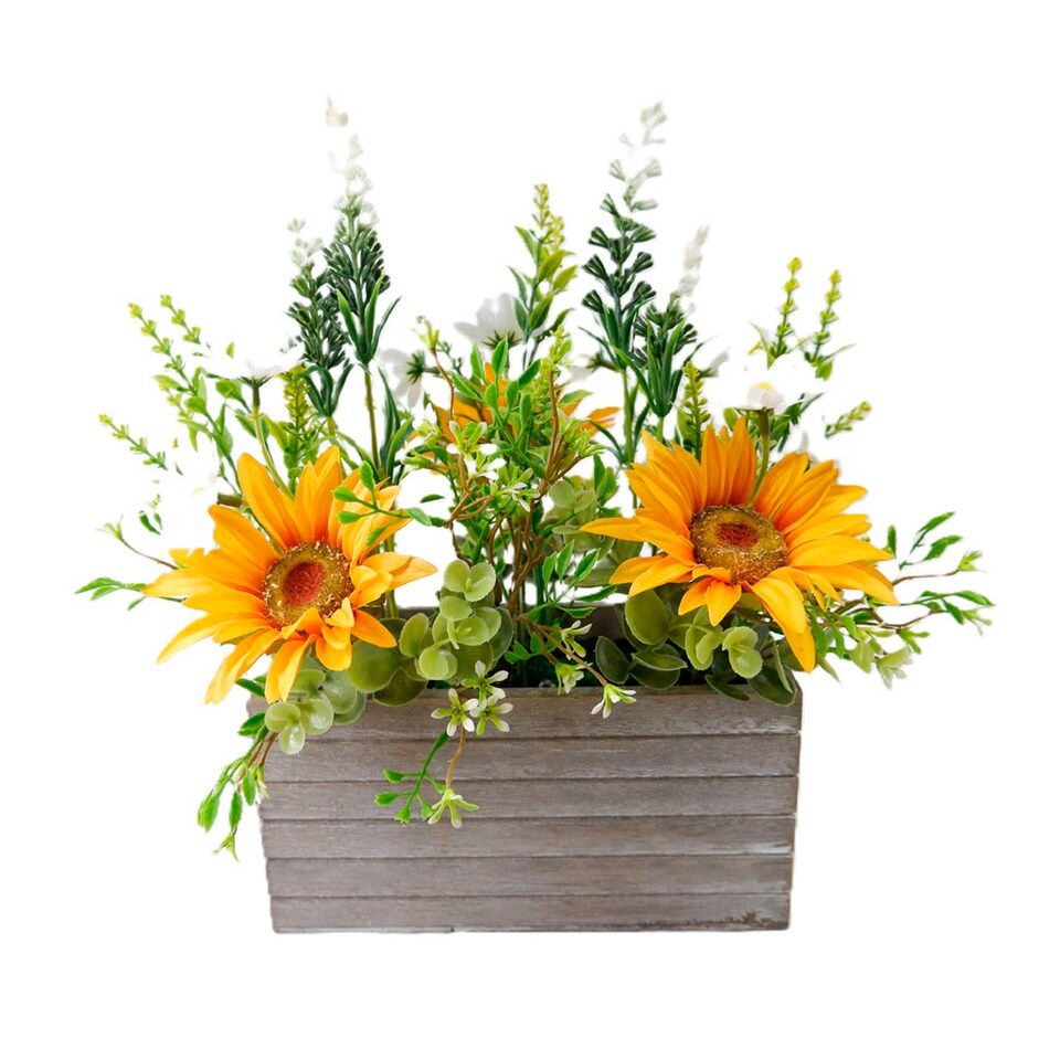 Bayswood Sunflowers In Window Box