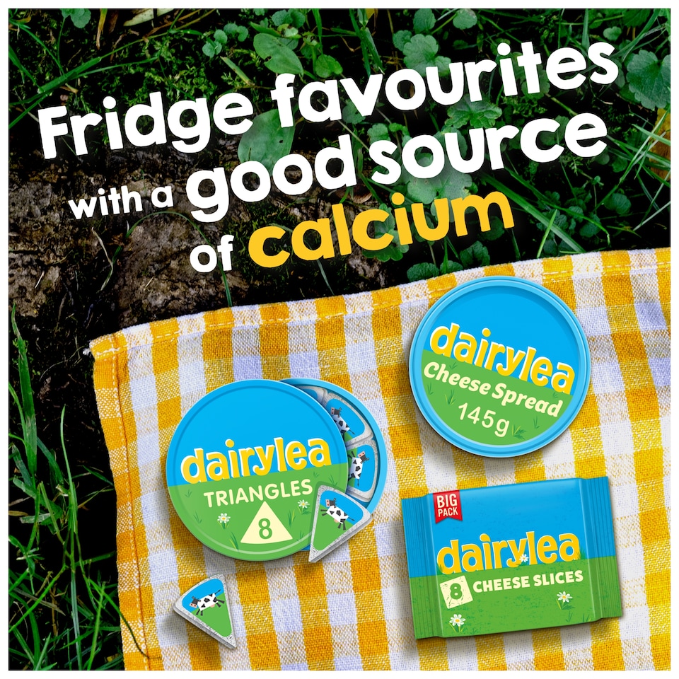 image 1 of Dairylea Cheese Spread Triangles 8 pack 8x15.6G