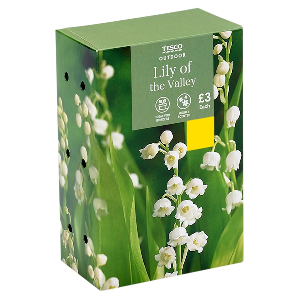Tesco Lily Of The Valley