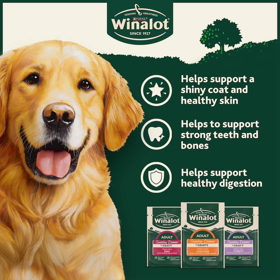 image 1 of WINALOT Sunday Dinner Mixed in Gravy Wet Dog Food 12x100g