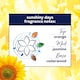 image 3 of Comfort Sunshiny Days Fabric Conditioner 83 Washes 2490Ml