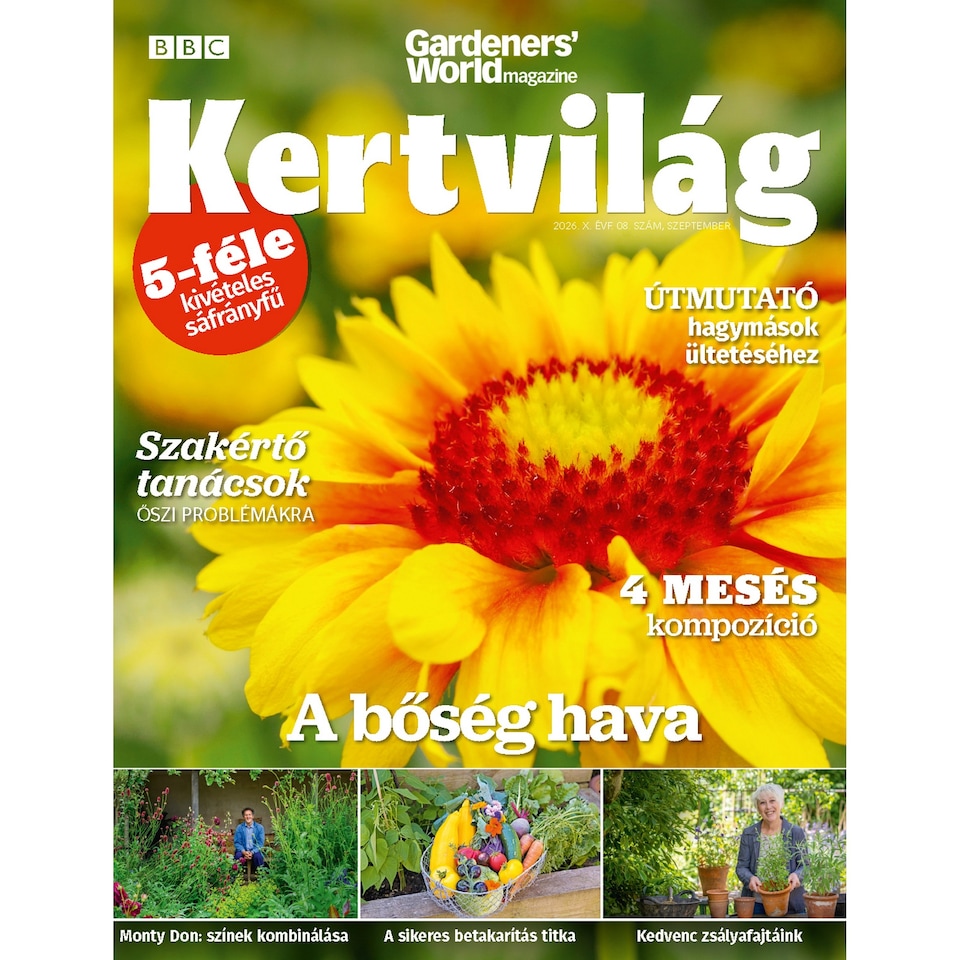 BBC Kertvilág