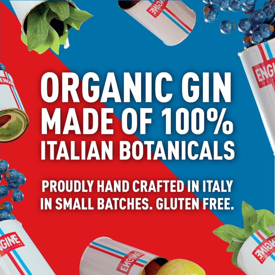 image 1 of Engine Organic Gin 700Ml
