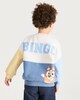 image 3 of Bluey and Bingo Cotton Rich Colour Block Sweatshirt in Multi