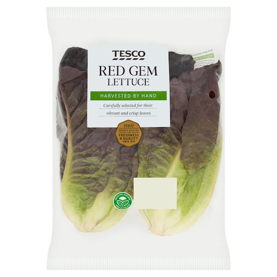 Tesco Red Gem Lettuce 2 Pack Tesco Groceries