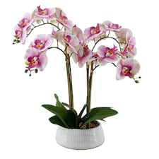 Bayswood Real Touch Pink Orchid In Ceramic Pot