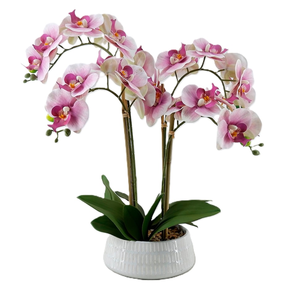 Bayswood Real Touch Pink Orchid In Ceramic Pot