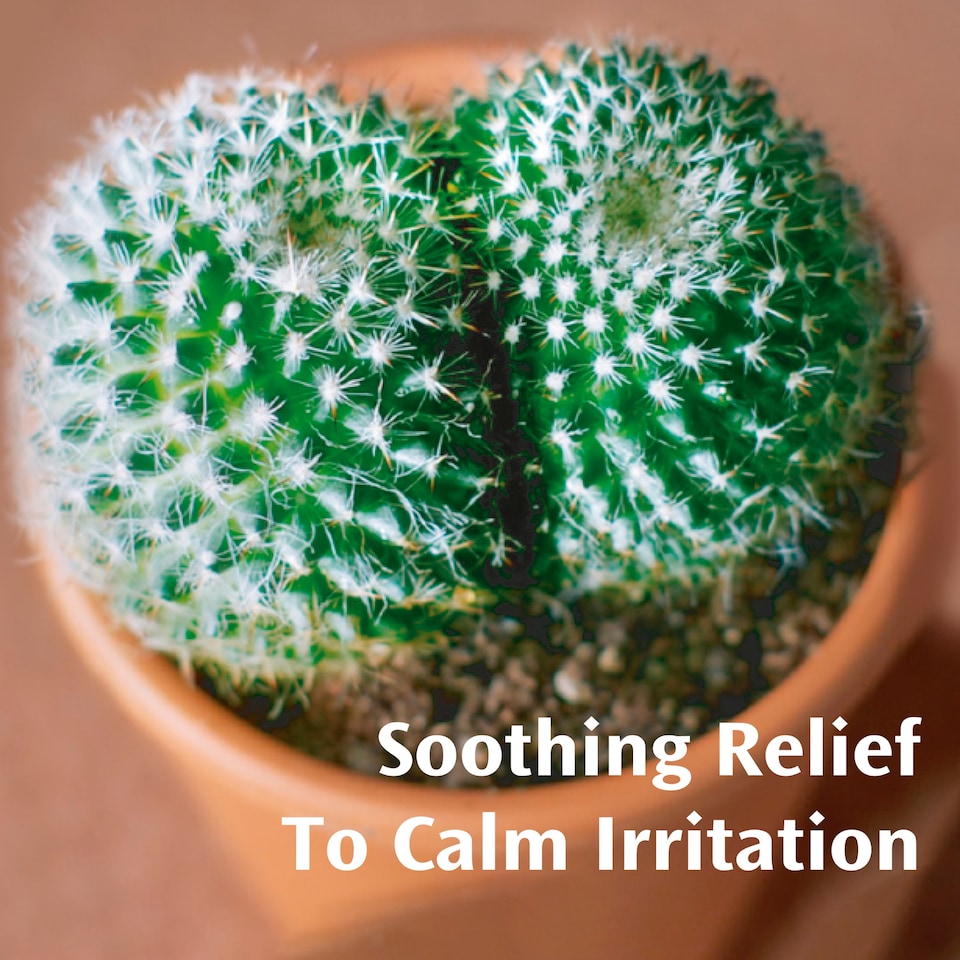 image 1 of AnuSol Soothing Relief Ointment for Piles 25g