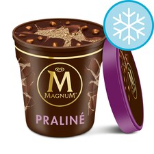 Magnum Tub Chocolate And Hazlenut Praline Ice Cream 440Ml