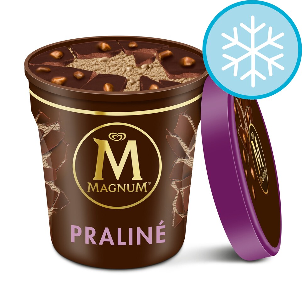 Magnum Tub Chocolate And Hazlenut Praline Ice Cream 440Ml