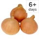 image 1 of Tesco Brown Onions Loose