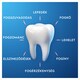 image 5 of Oral-B Pro-Expert Sensitive Calm Sensation Toothpaste