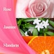 image 5 of Surf Magnifi-Scent Wash Floral Fusion Laundry Detergent 55 Washes 1485ml