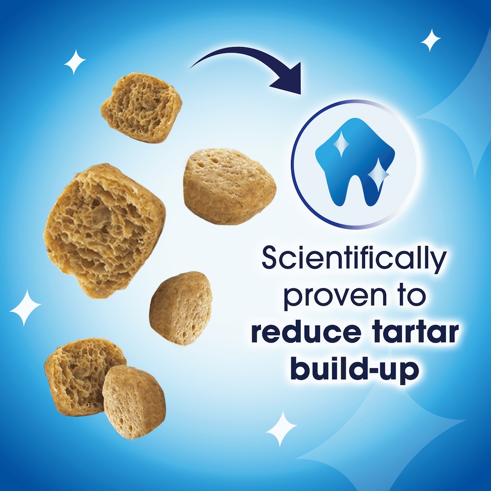 image 1 of DENTALIFE Dental Chicken Cat Treats 140g