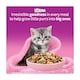 image 3 of Whiskas Kitten Dry Cat Food Biscuits Chicken 1.9Kg