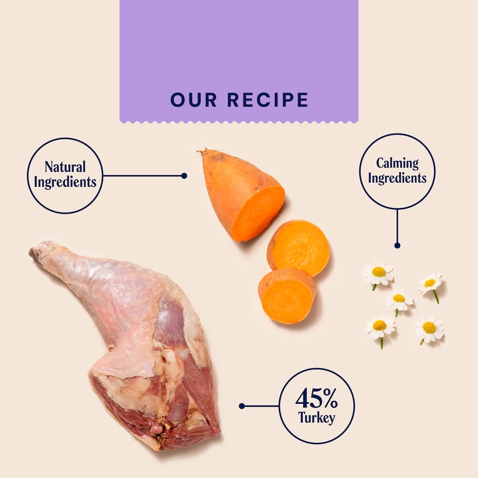 image 1 of Pooch and Mutt Calm & Relaxed Complete Dry Dog Food Turkey 2kg