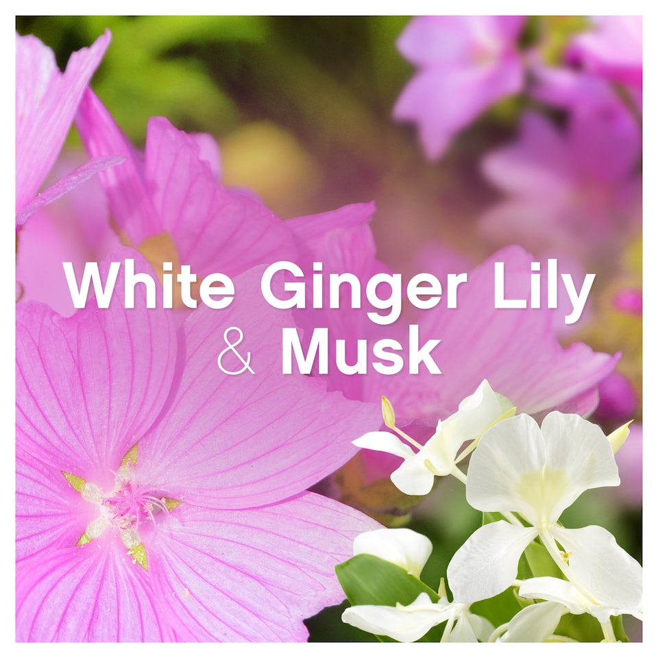 image 1 of Lenor Exotic Bloom And Midnight Lily 26 Wshs 858Ml