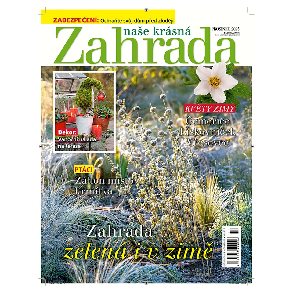 Our Beautiful Garden