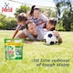 image 2 of Persil Bio Capsules 58 Washes 1223g