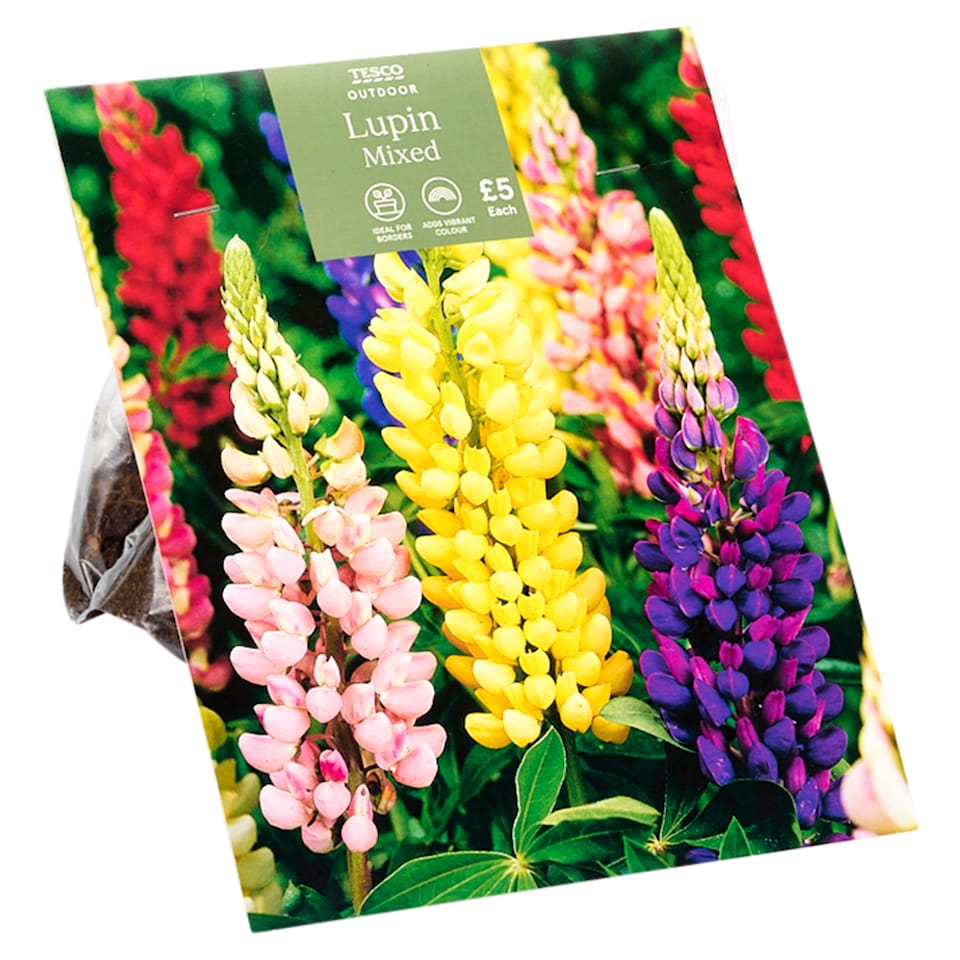 Tesco Mixed Lupins