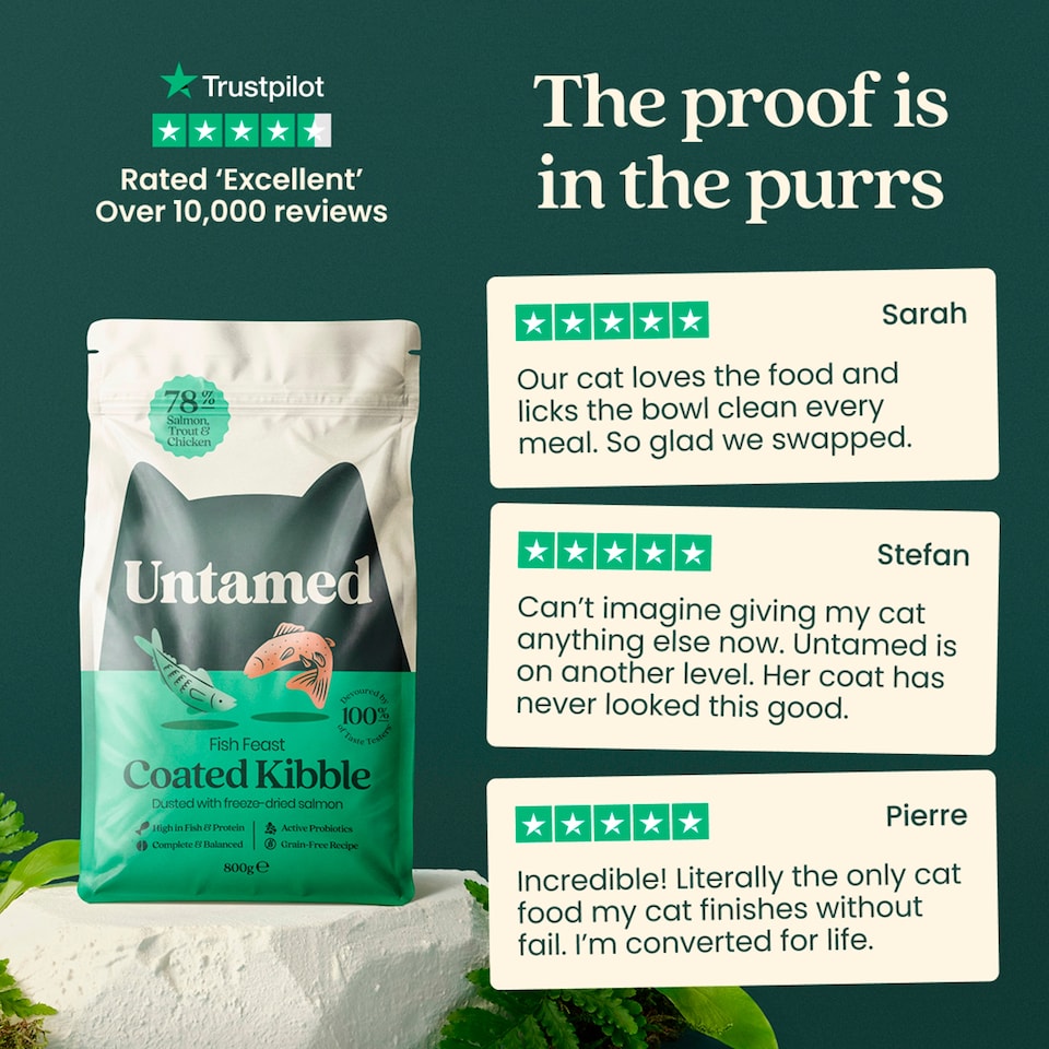 image 1 of Untamed Coated Kibble Salmon and Trout Cat Food 800g