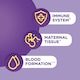 image 3 of Seven Seas Pregnancy Vitamins & Minerals Plus Folic Acid 28s