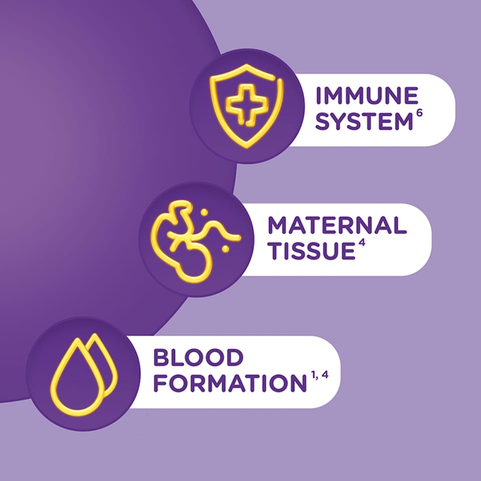 image 1 of Seven Seas Pregnancy Vitamins & Minerals Plus Folic Acid 28s