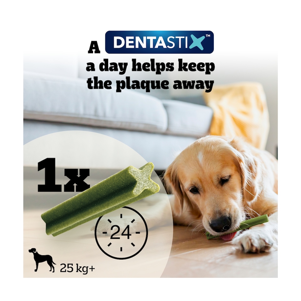 image 1 of Pedigree Dentastix Fresh Large Dog Treats 4 Dental Sticks