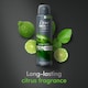 image 4 of DOVE Men+care advanced anti-perspirant spray extra fresh 150 ml