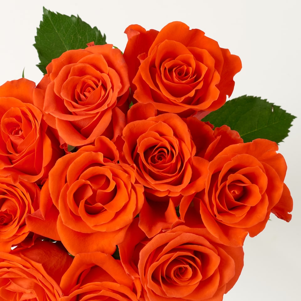 image 1 of Tesco Small Red & Orange Roses Bouquet