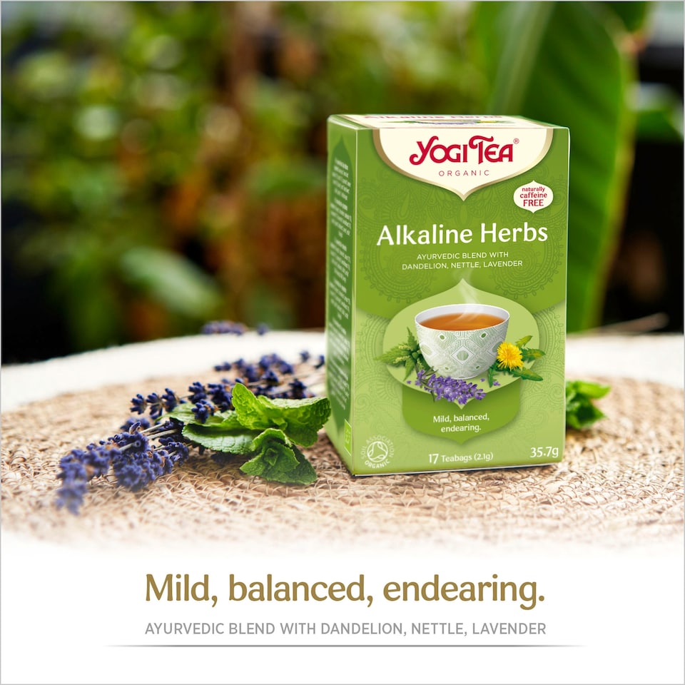 image 1 of Yogi Tea Organic Alkaline Herbs 17bags 35.7g