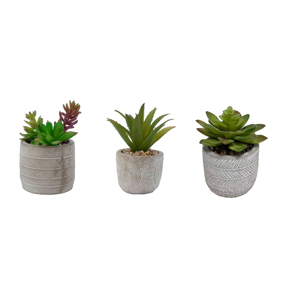Bayswood Artificial Succulent In Ceramic Pot Assorted