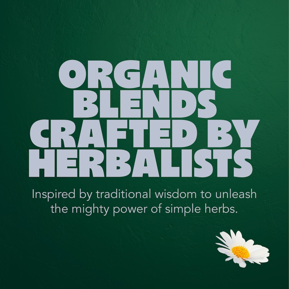 image 1 of Pukka Organic Herbal Collection 20 Herbal Tea Sachets 29g