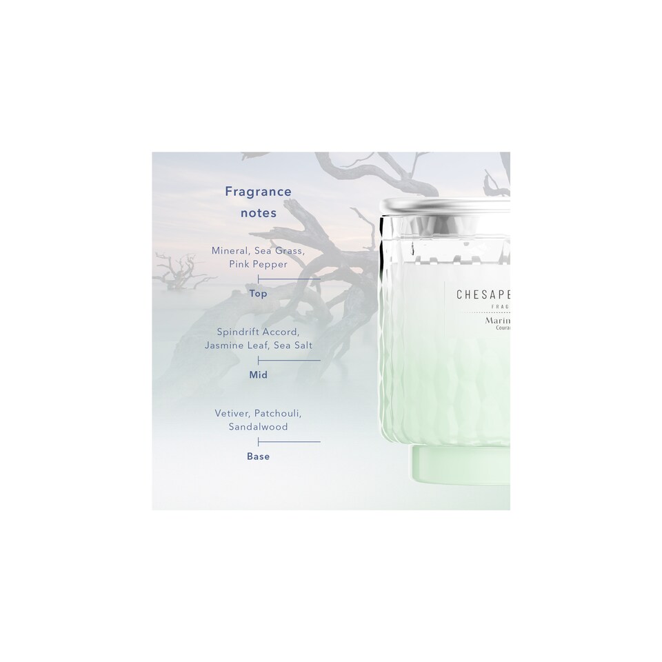 image 1 of Chesapeake Bay Marine Drift Reed Diffuser 150ml